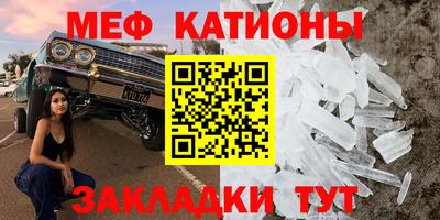 прущие грибы Новокубанск