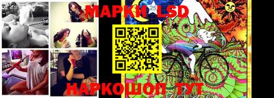 гидропоника Новозыбков