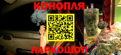 гидропоника Новозыбков