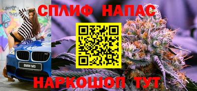 гидропоника Новозыбков