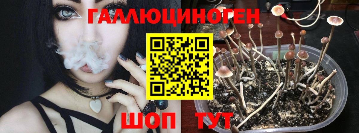 Серпухов  Псилоцибиновые грибы прущие грибы  Вход с VPN 